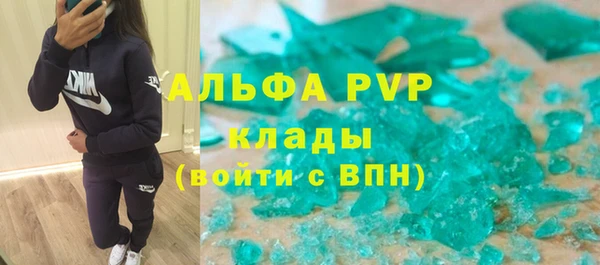 apvp Алзамай